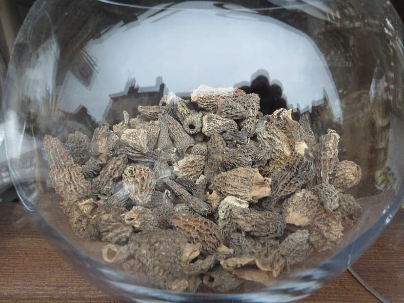 Morille Moyenne (sans tige) 25 g